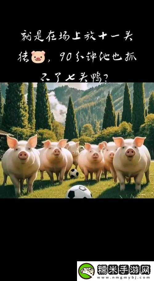 小豬視頻多人運動版