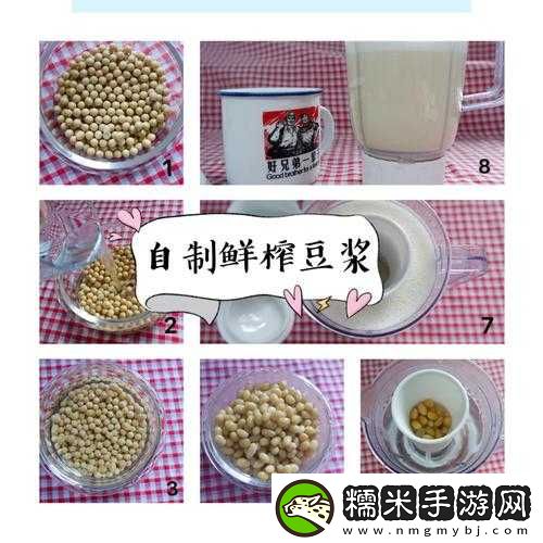 自制豆?jié){難題解之高效制作豆?jié){的技巧與方法