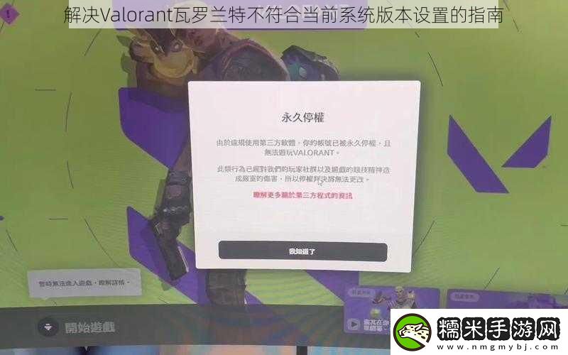 解決Valorant瓦羅蘭特不符合當(dāng)前系統(tǒng)版本設(shè)置的指南