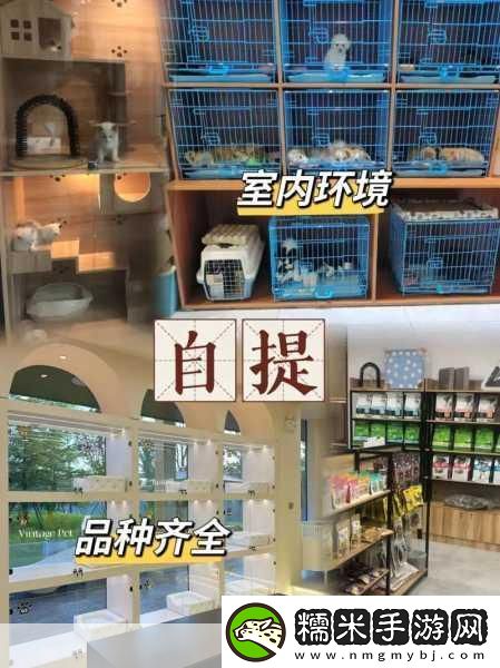 合成寵物店