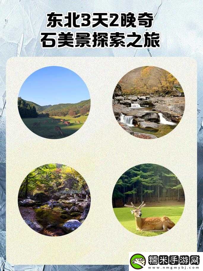 東北大坑亂