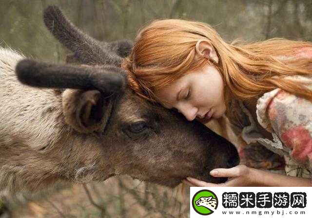 美國人與動物