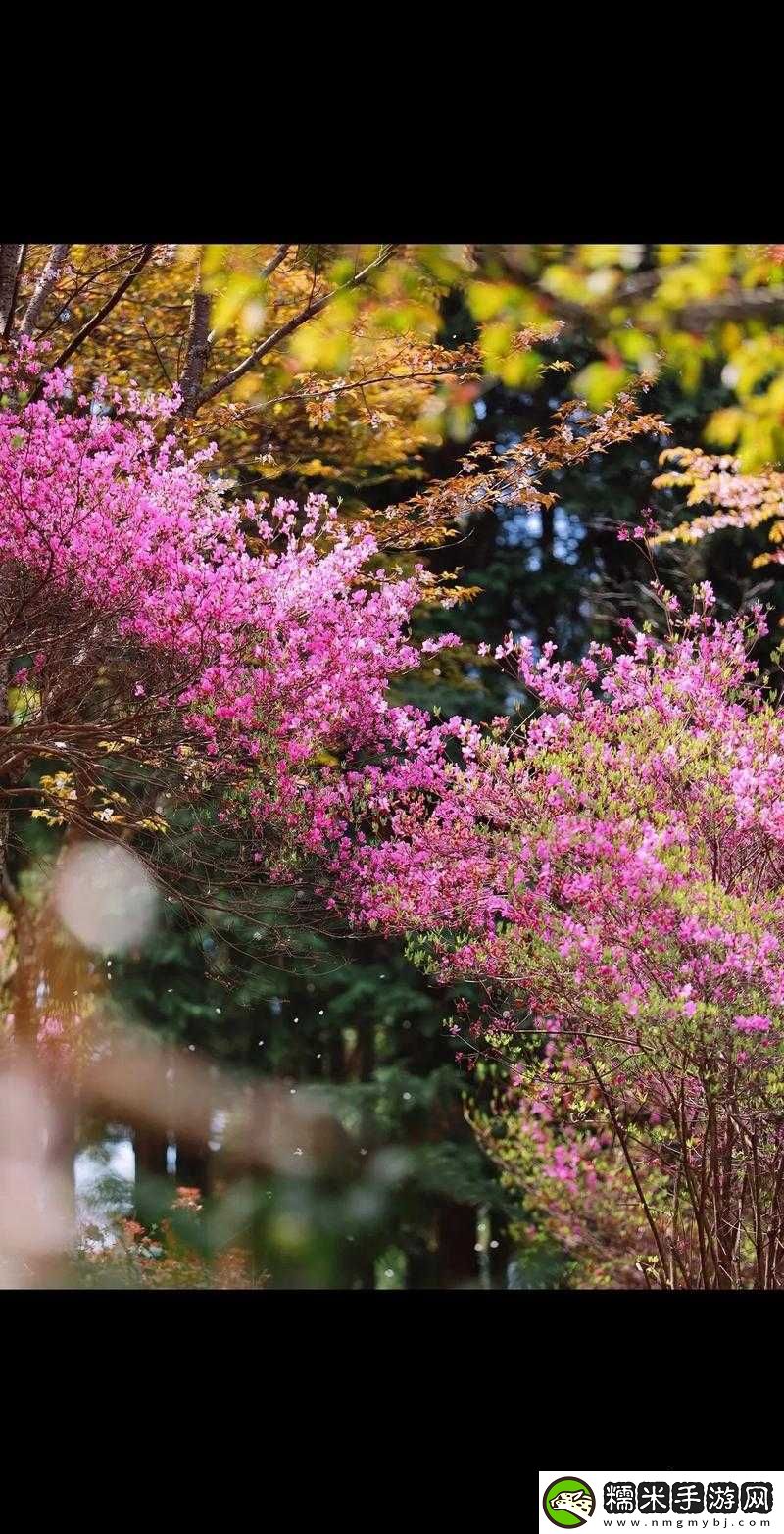 在春日繁花中開啟一場浪漫至極的邂逅