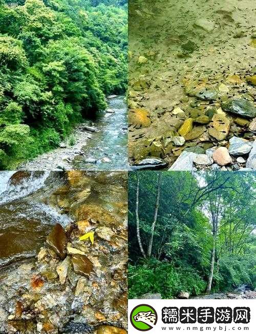 兩峰夾小溪地濕又無泥蘊(yùn)含的獨(dú)特自然景象與奧秘