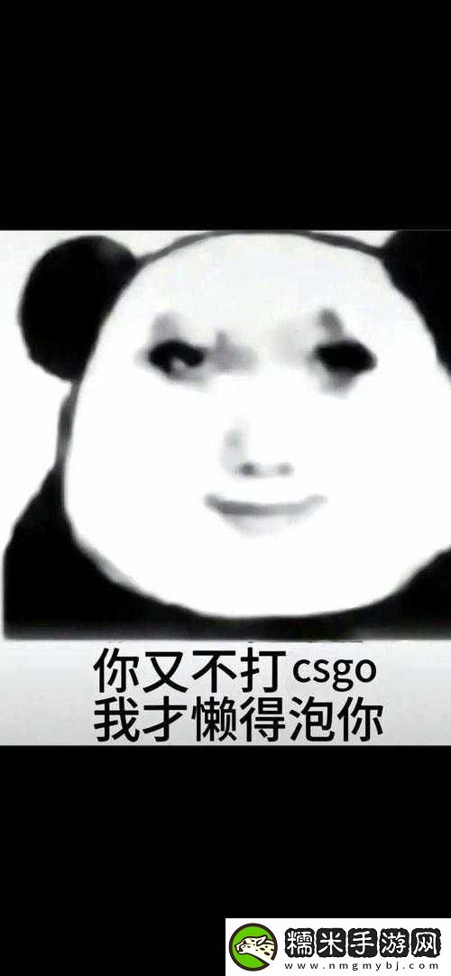 暴躁老姐的CSGO心得分享視頻