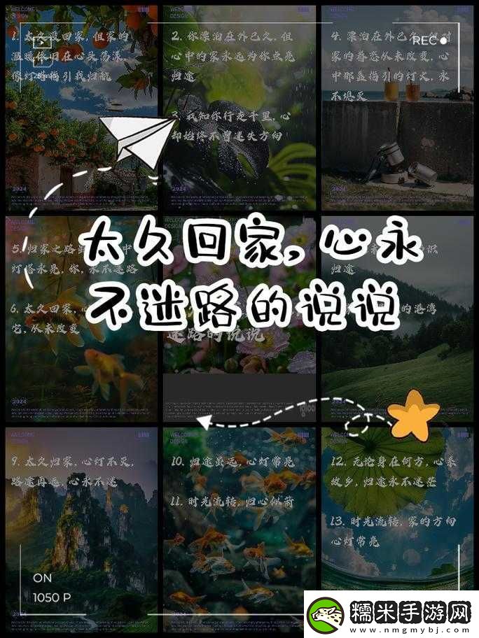 小草回家永不迷路