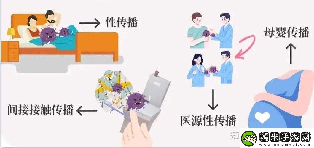 HPV感染與性接觸關(guān)系解析