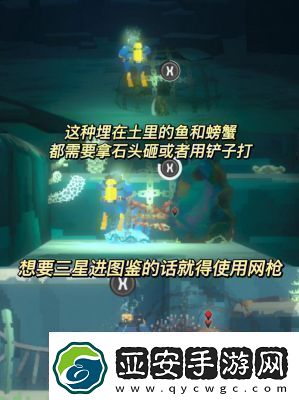 潛水員戴夫手機(jī)版預(yù)計(jì)2025年4月上線詳細(xì)介紹和預(yù)約獎(jiǎng)勵(lì)大揭秘