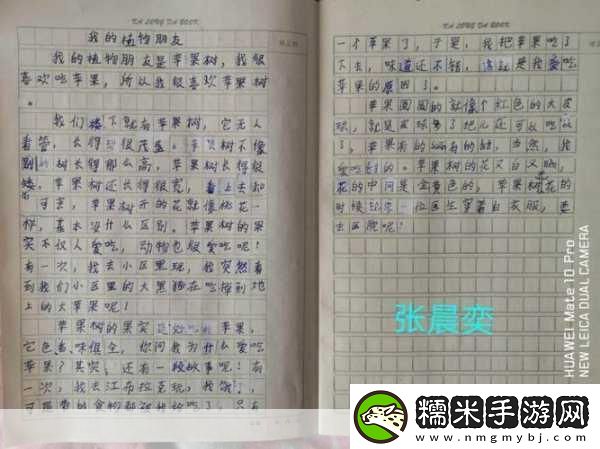 女班長給我看她的小積積作文