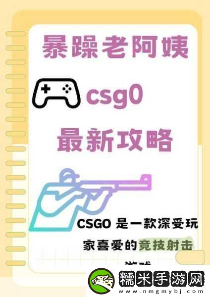 暴躁老阿姨csgo新手技巧