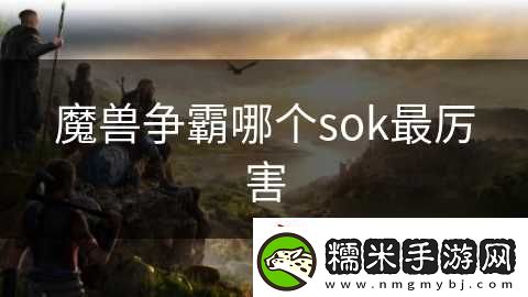 魔獸爭(zhēng)霸哪個(gè)sok最厲害