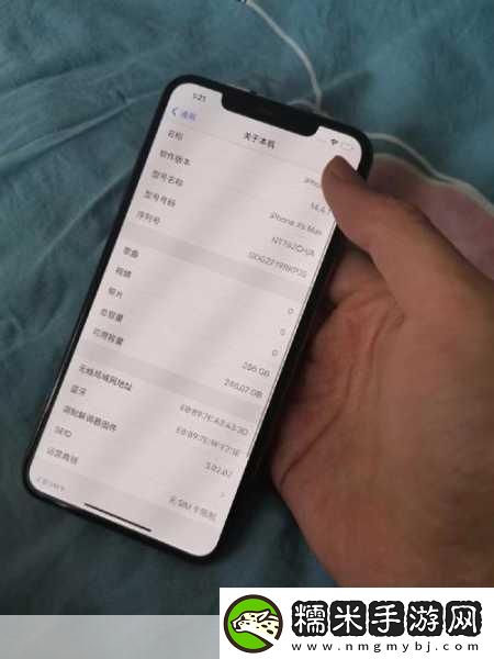 揭秘歐美iPhoneXSMax視頻重回巔峰