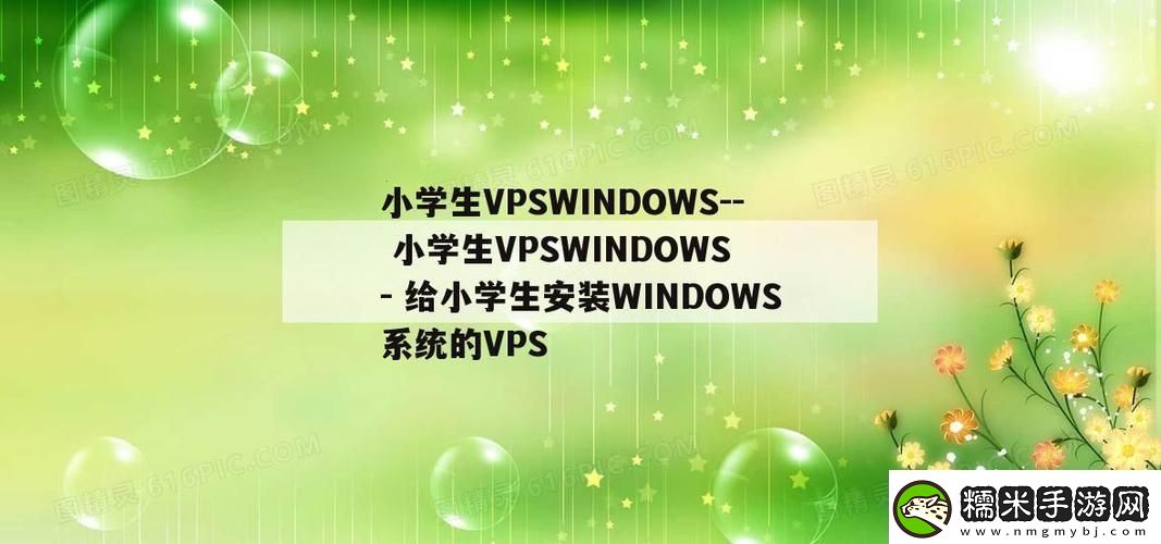 “小學(xué)生VPSWINDOWS”傳奇