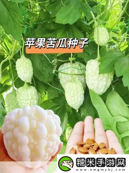 蘋(píng)果西瓜木瓜香蕉黃瓜哪一個(gè)不同