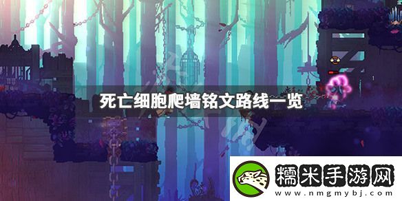 死亡細(xì)胞爬墻銘文在哪