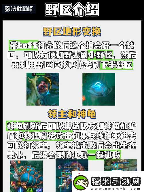 決勝巔峰新玩家打野教學(xué)攻略